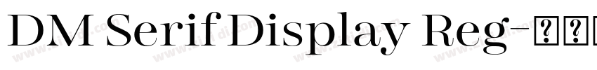 DM Serif Display Reg字体转换